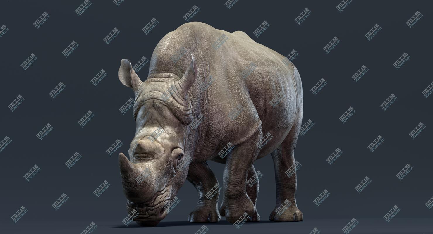 images/goods_img/20210319/Rhino (Animated) 3D model/3.jpg
